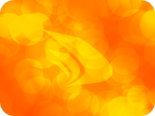 Ulusal Staj Programı